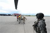 Get to the chopper